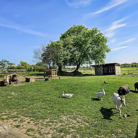 Oasis Du Pecheur Avec Wifi Gratuit * Litteau