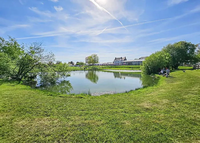 Oasis Du Pêcheur Avec Wifi Gratuit * Litteau