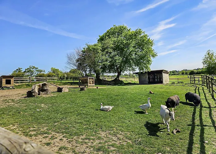 Oasis Du Pêcheur Avec Wifi Gratuit * Litteau